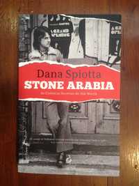 Dana Spiotta - Stone Arabia, as crónicas secretas de Nik Worth