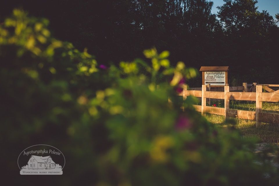 Komfortowe noclegi. Poleski Park Narodowy. Pokoje z łazienkami!