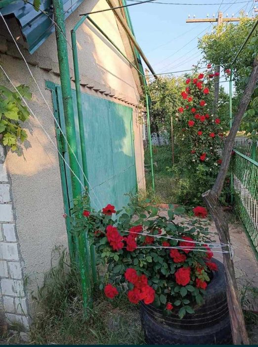 Продам дом в Овидиополе  с видом на лиман