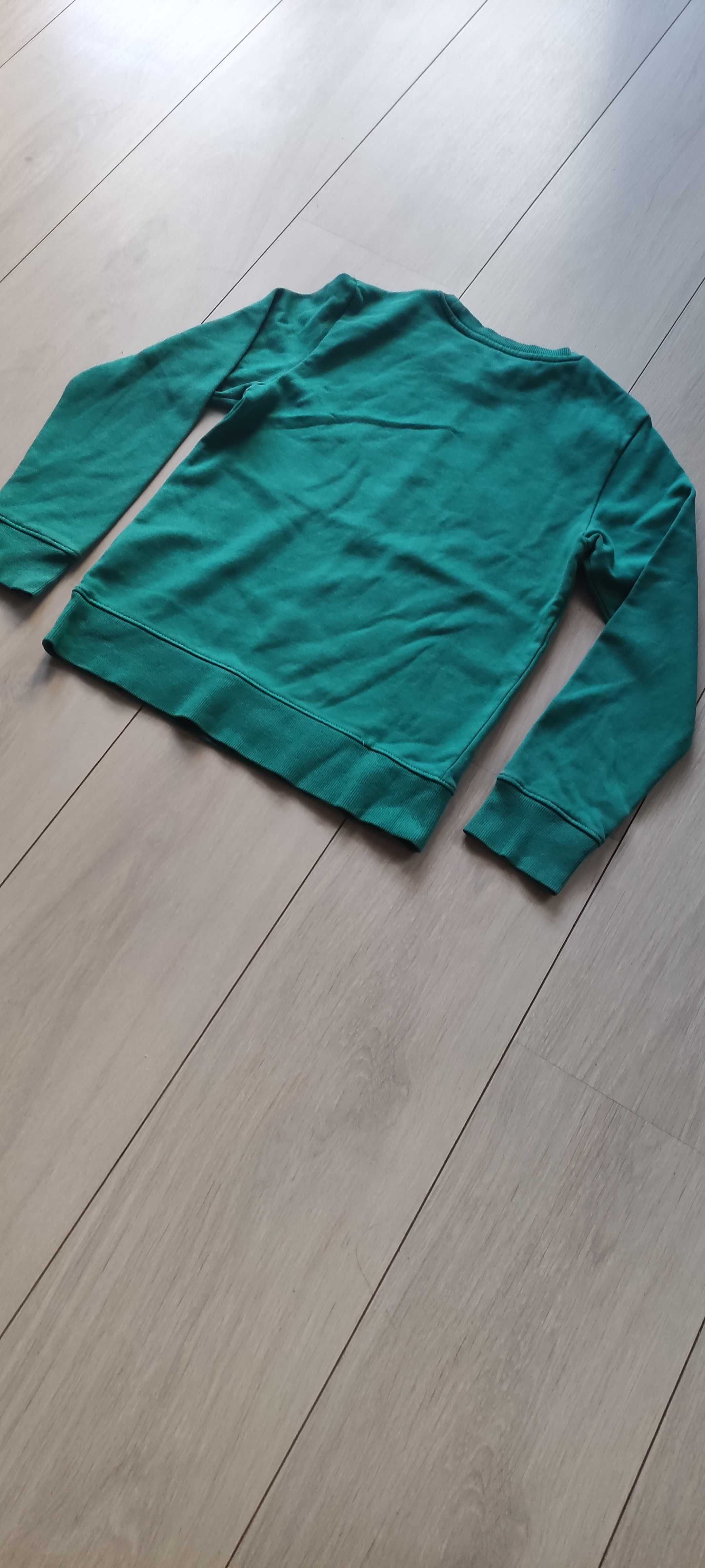 Zielona bluza dinozaury, H&M rozmiar 134/140