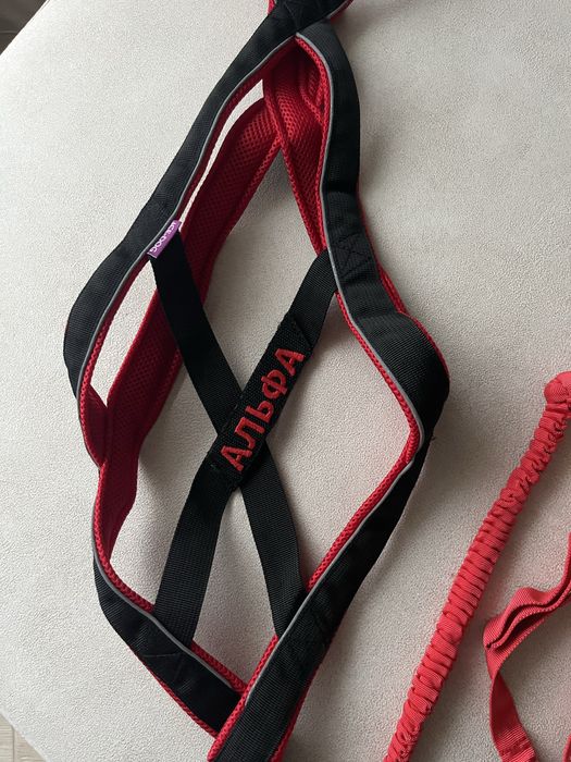 Їздова шлейка для собак, поводок потяг для собак