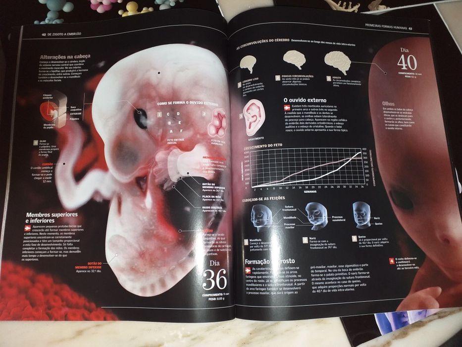 Livros sobre o Corpo Humano