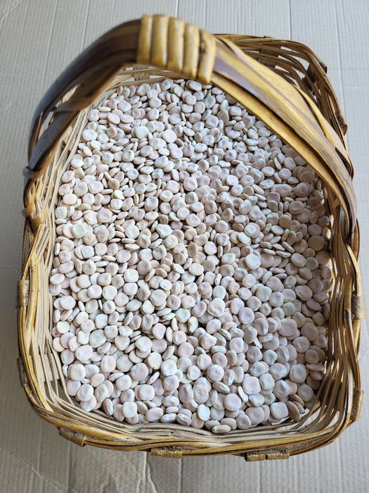 Tremoço Nacional Biológico