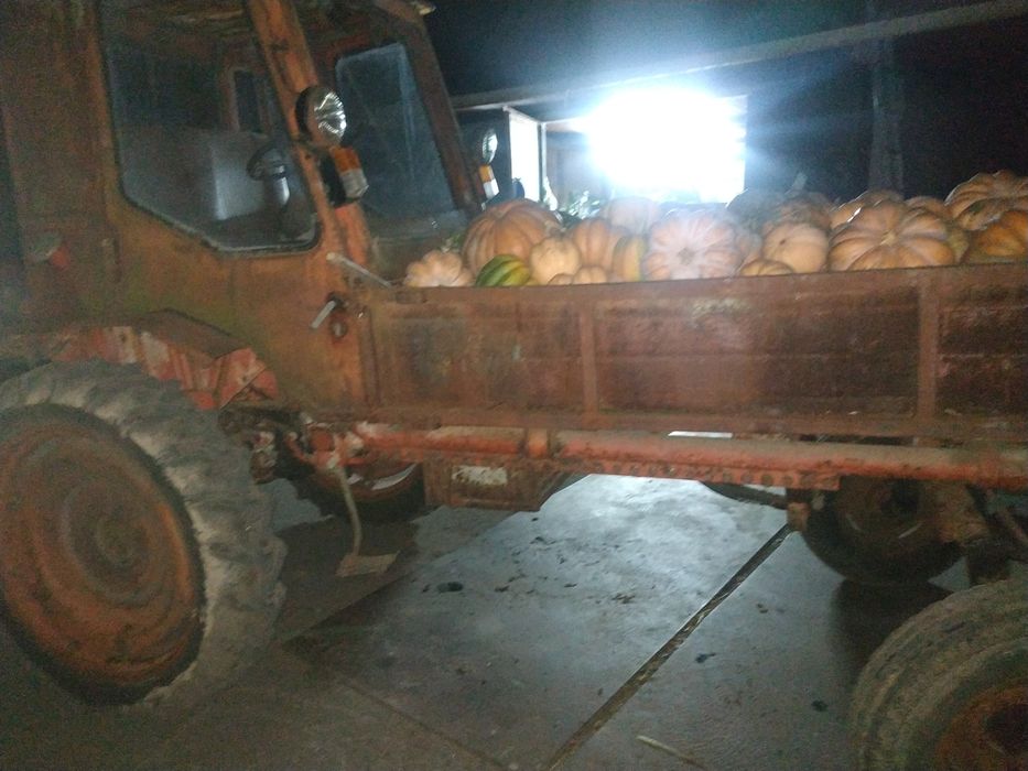 Трактор Т-16 на доках