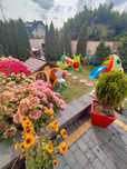 Tanie Wynajem Pokoi Weekend Boże Ciało Pokoje z łazienką balkon Rowery