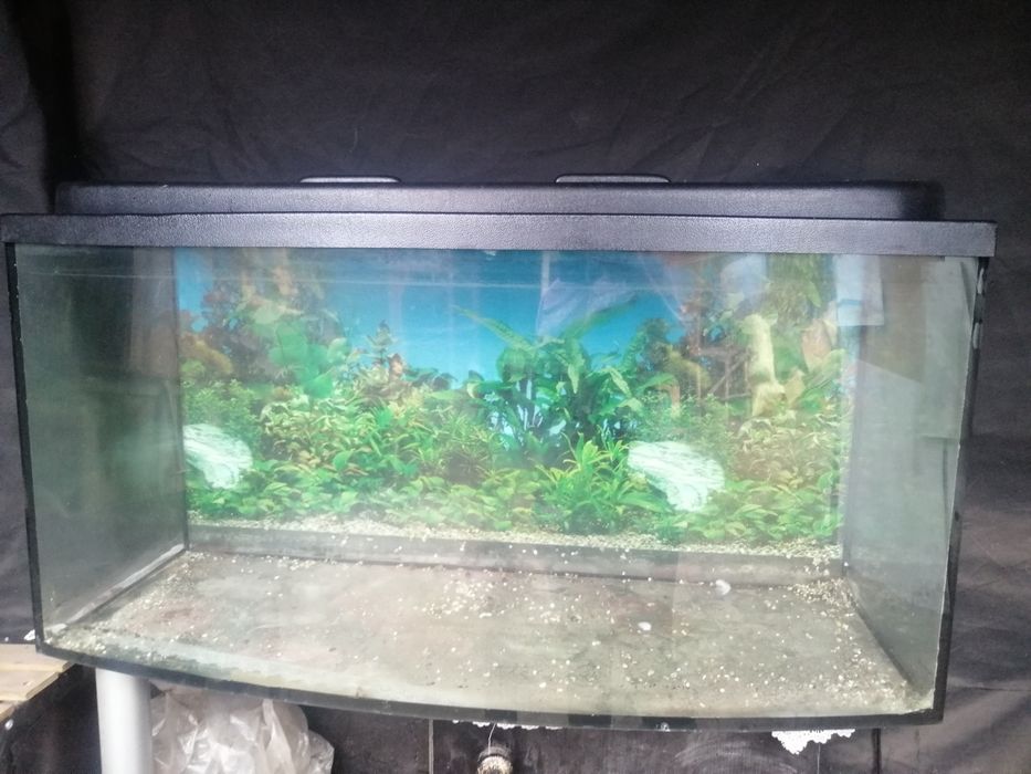 Akwarium przeznaczone na terrarium
