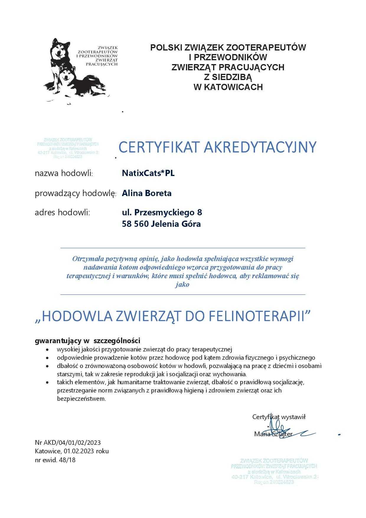 kotek bengalski, Kocurek wykastrowany OZZIE FPL/FIFe