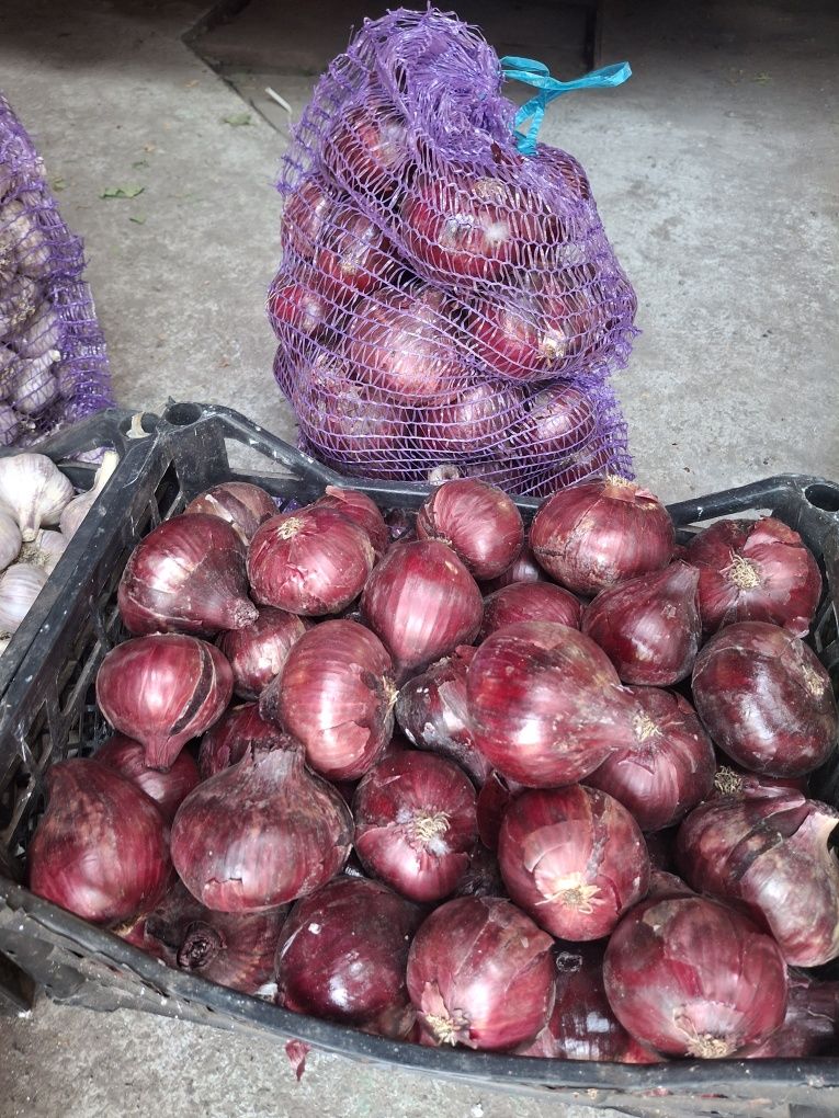 Продам цибулю, часник