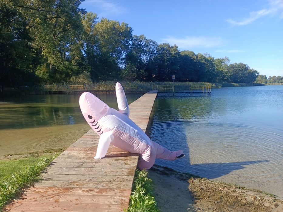 Sprzedam kostiumy dmuchane nowe