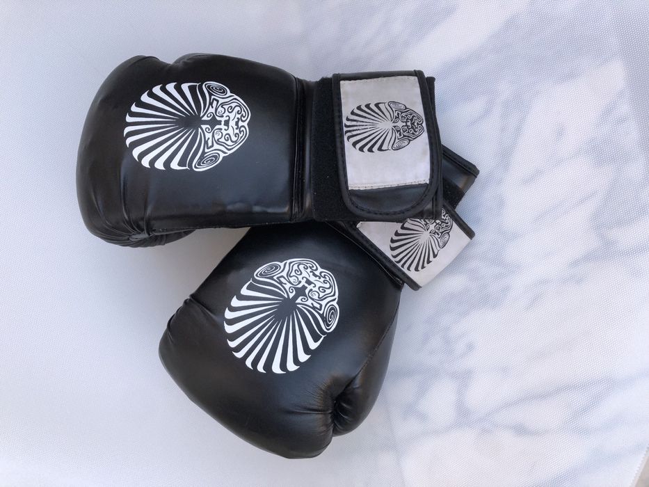 Luvas Boxe / Artes