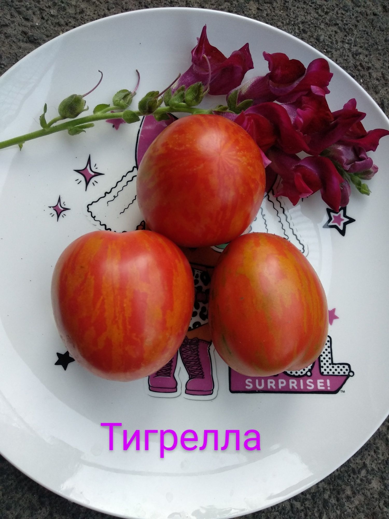 Семена томатов, перца