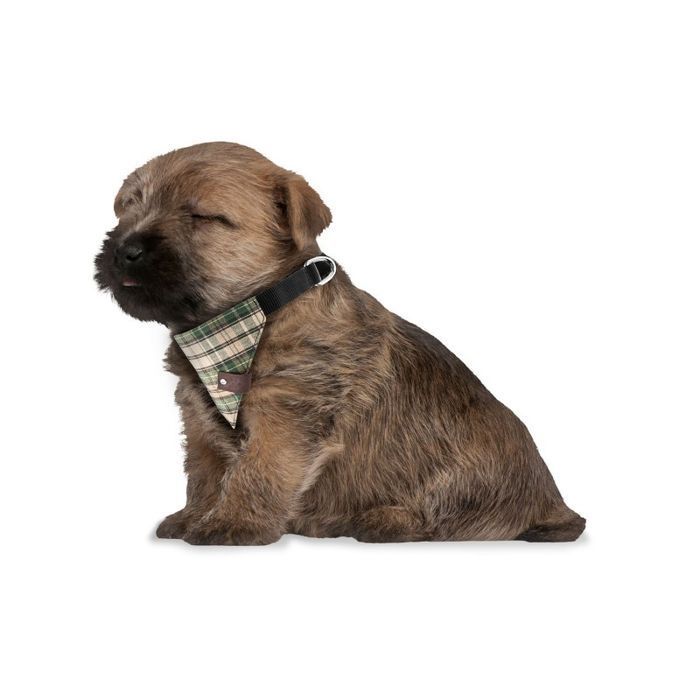 Modna obroża dla psa z bandaną Petsome rozmiar S 13PK6S