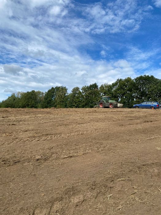 Karczowanie, czyszczenie, działek, rekultywacja, gruntów, mulczowanie