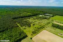 Puszcza Zielonka: 29 Działek Pow 1735M2 – 4027M2.