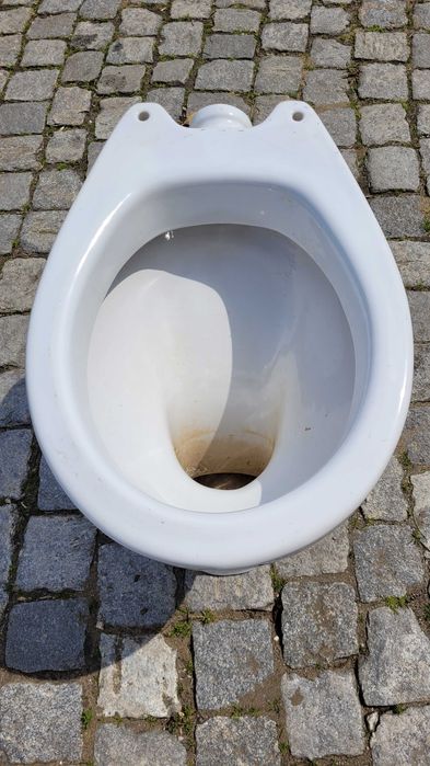 Muszla klozetowa (sedes)