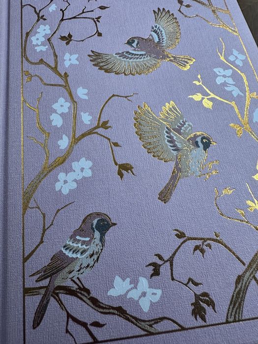 Джейн Эйр. Бронте Шарлотта