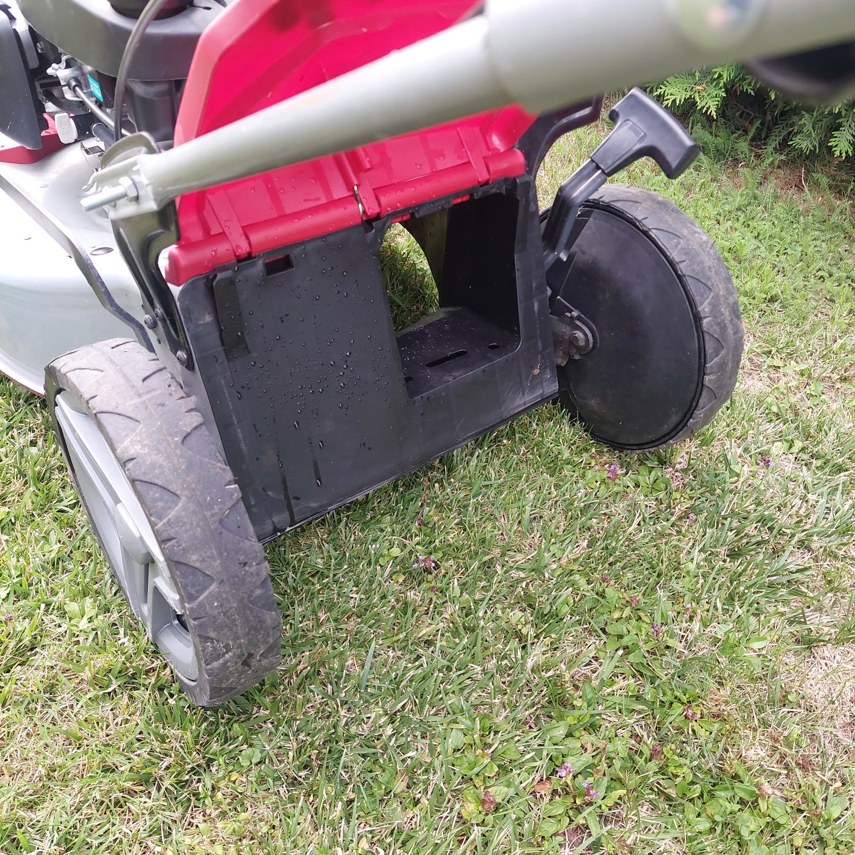 Kosiarka spalinowa Mounfield Honda