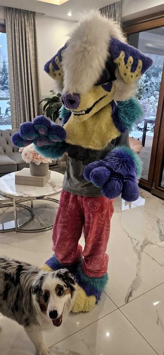 Fursuit Partial Piesek