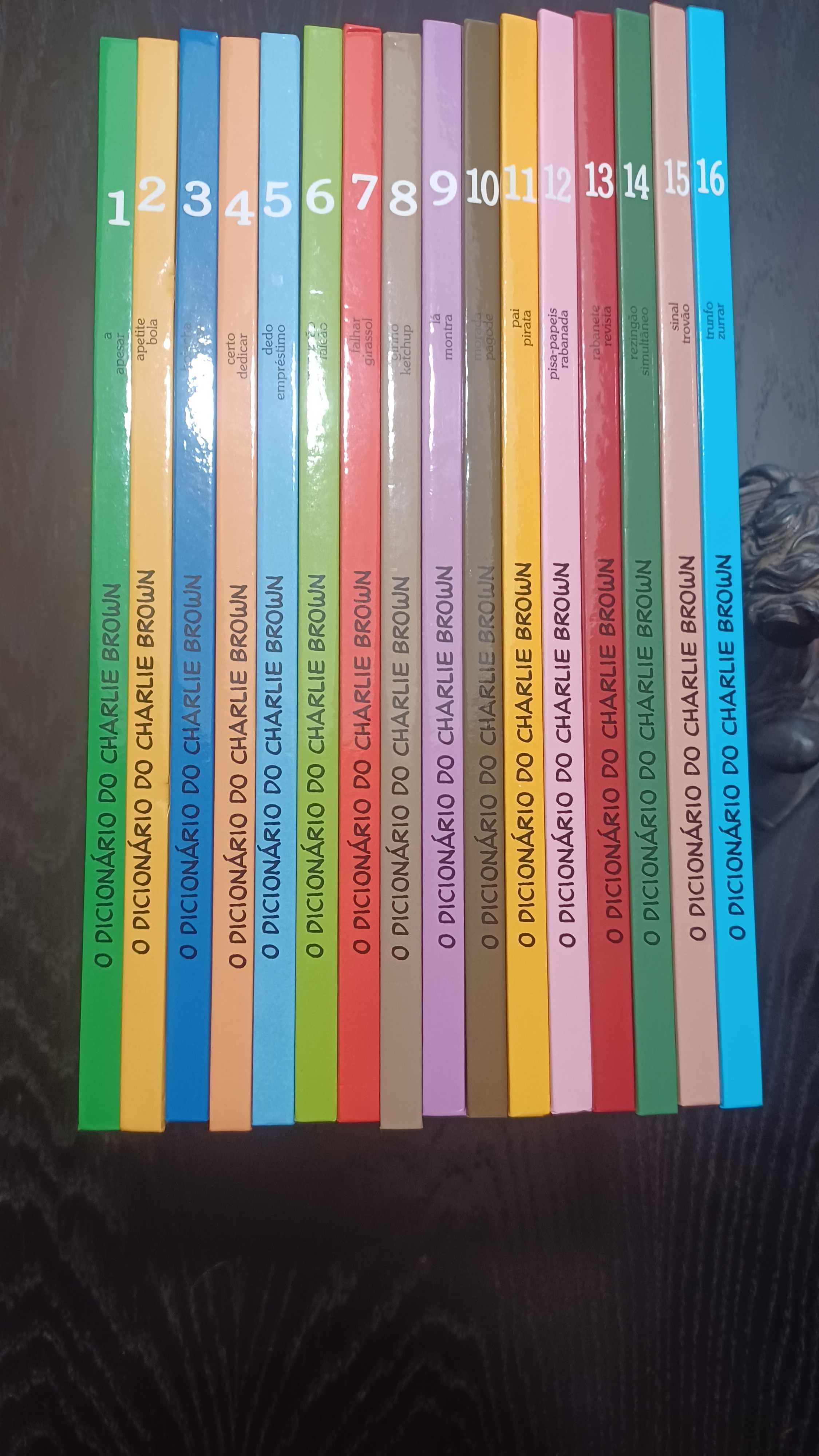 Dicionário Português Charlie Brown- 16 livros