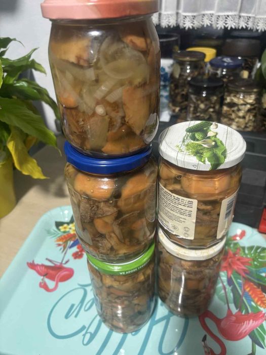 Świeżo zebrane i zaprawione rydze 4 słoiki