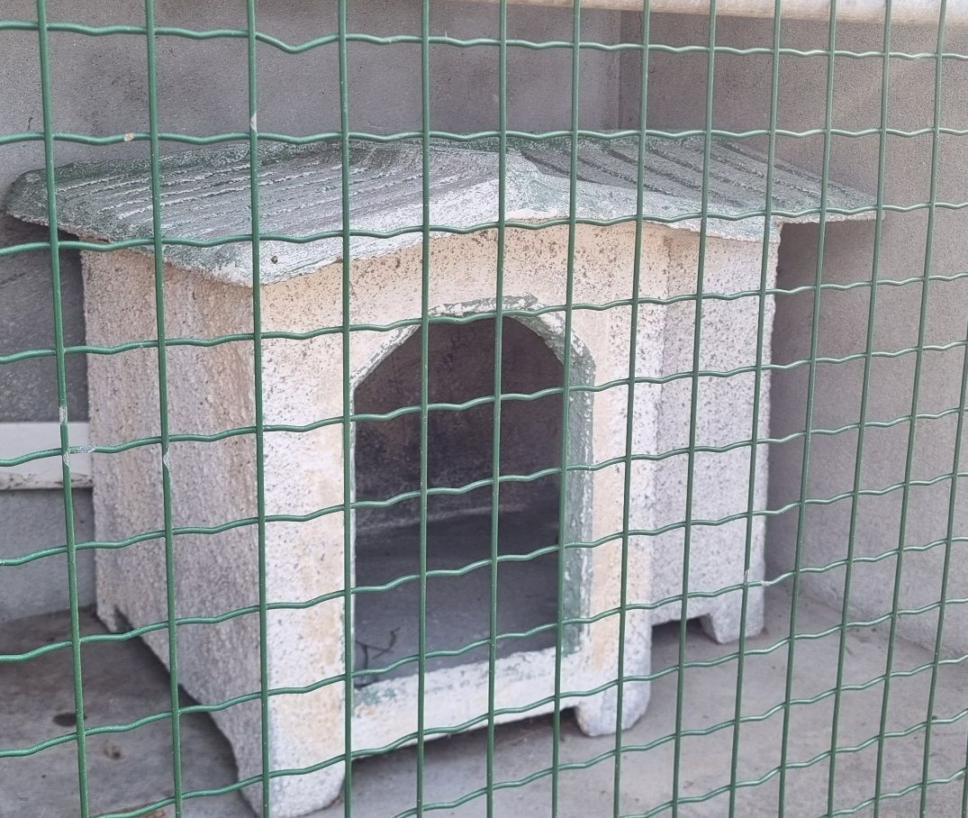 Casota para cão grande