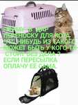 Приму В  Дар Переноску для кота