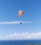 Parapente Nova Prion L 2018 Melon