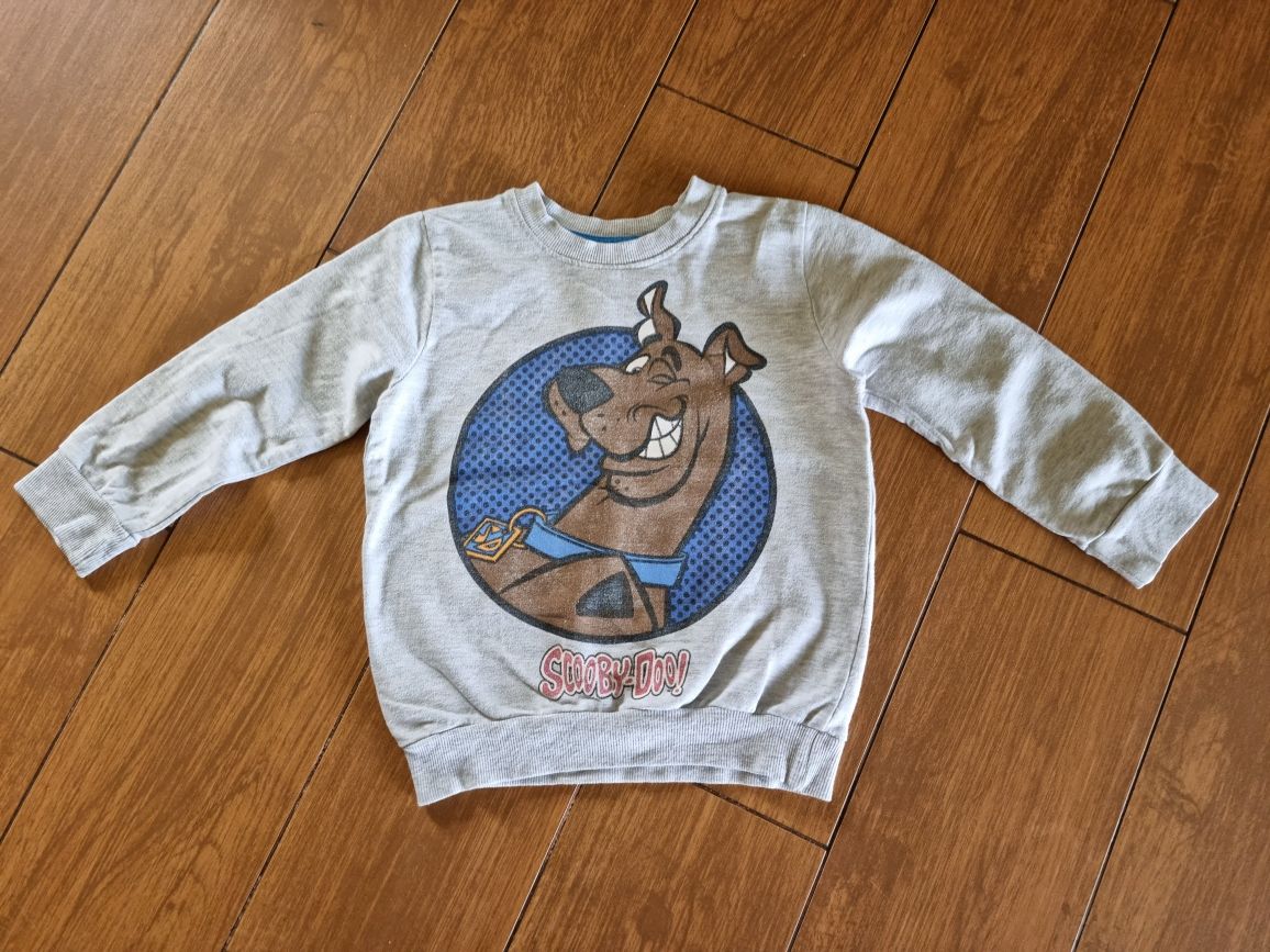 Szara bluza ze Scooby-Doo 3-4 lata 104 cm chłopięca Pepco