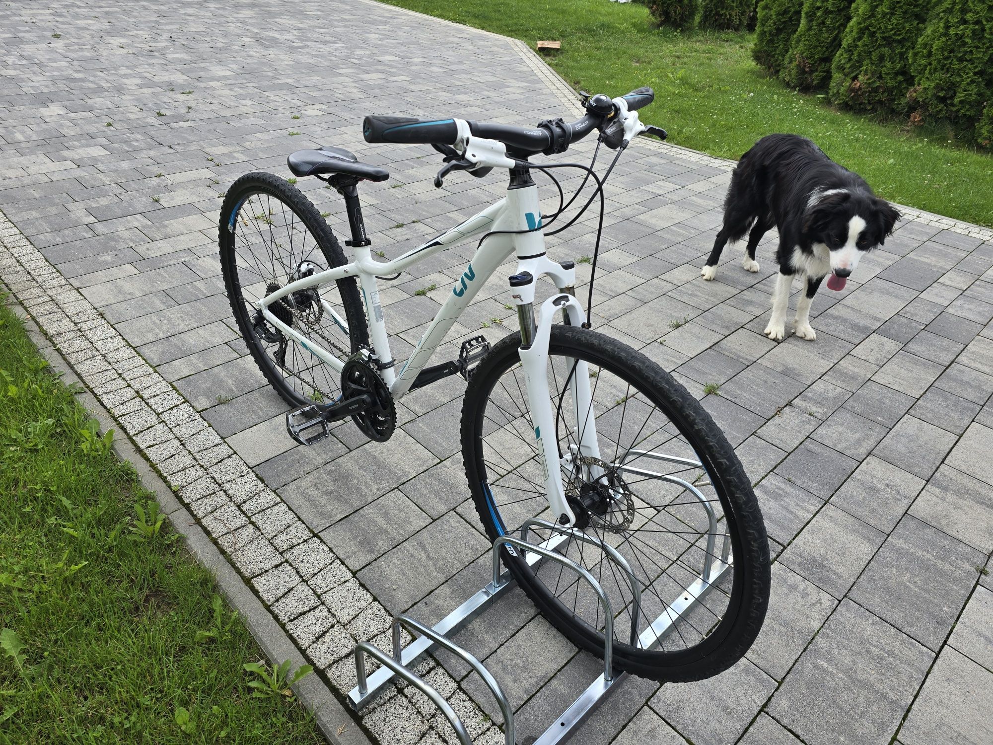 Rower damski GIANT rove LIV 2 super stan.