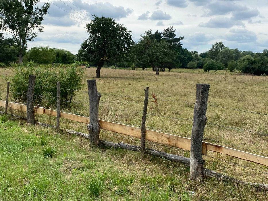 Działka rolna 5ha gmina Leoncin otulina KPN Kampinos oraz Wisły