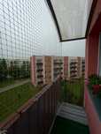 Siatka na balkon siatka dla kota siatka przeciw ptakom