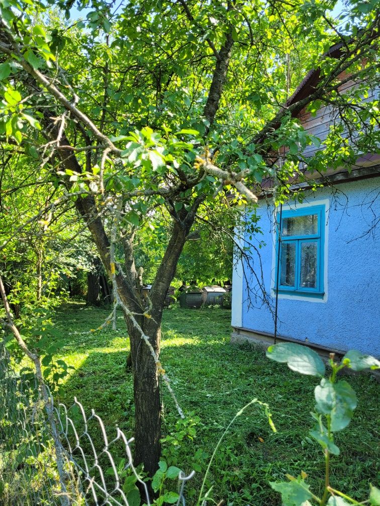 Продам газифікований будинок  в Млинівському районі
