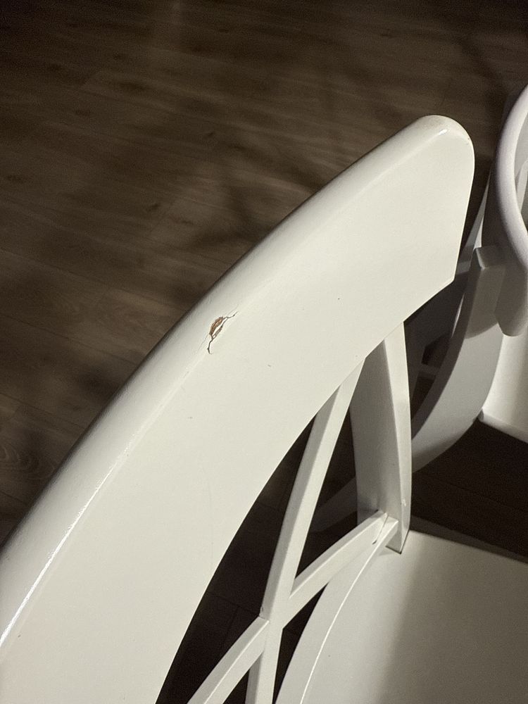 Stół i krzesła 8 szt. Ikea ingatorp ingolf + krzesło dla dziecka ikea
