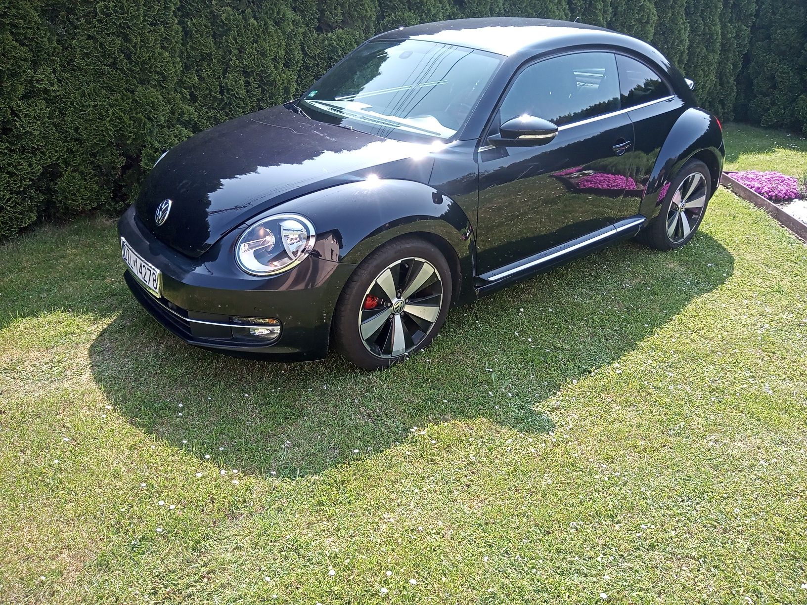 Sprzedam VW Beetle