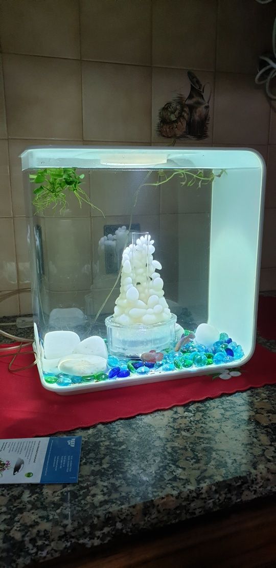 Aquario Biorb 15L