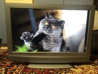 Телевізор Sony BRAVIA KDL-32U2000
