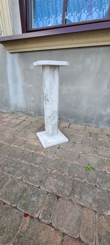 Kwietnik kamienny domowy