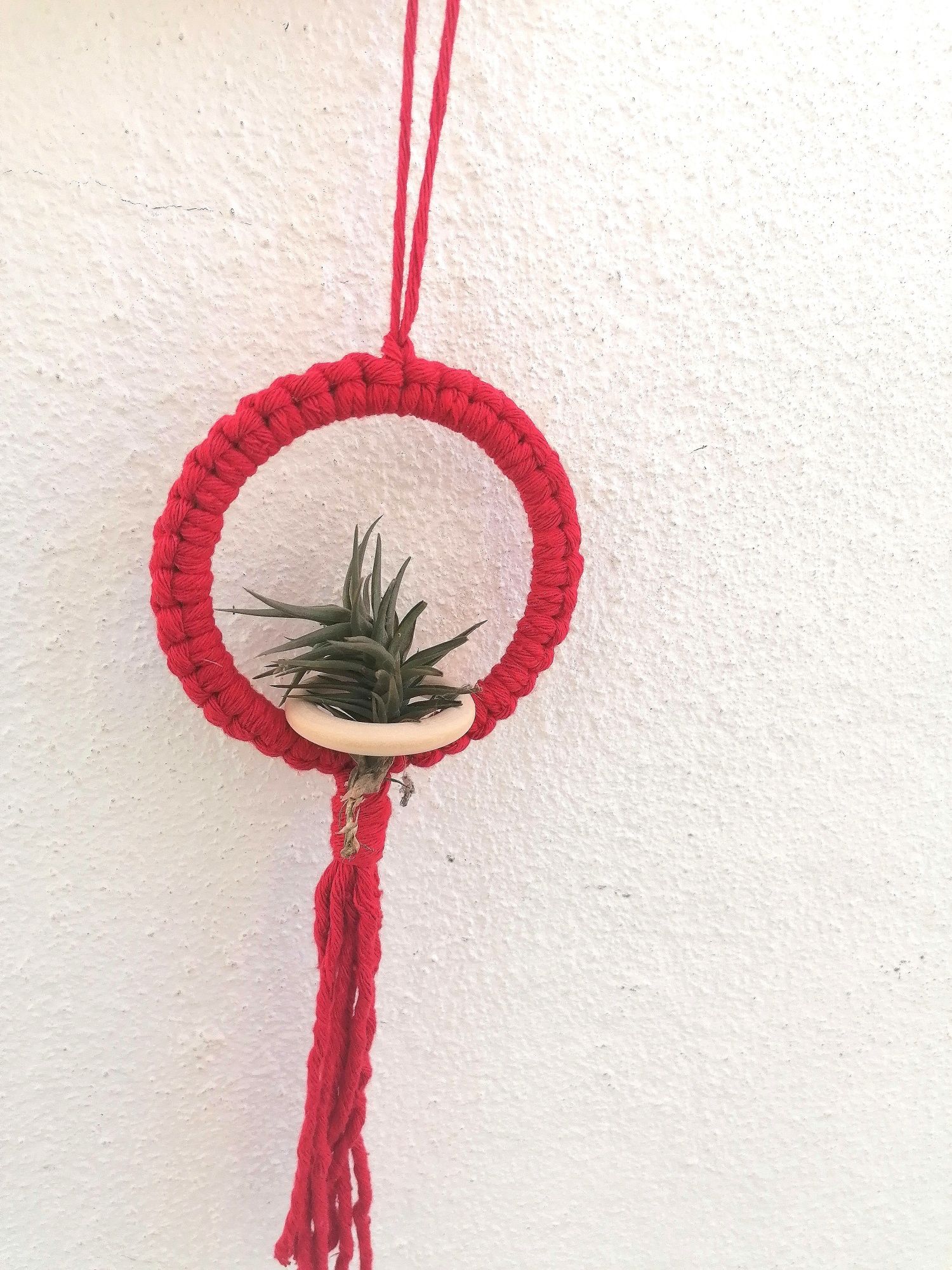 Suporte em macramê para Tillandsias (plantas aéreas)