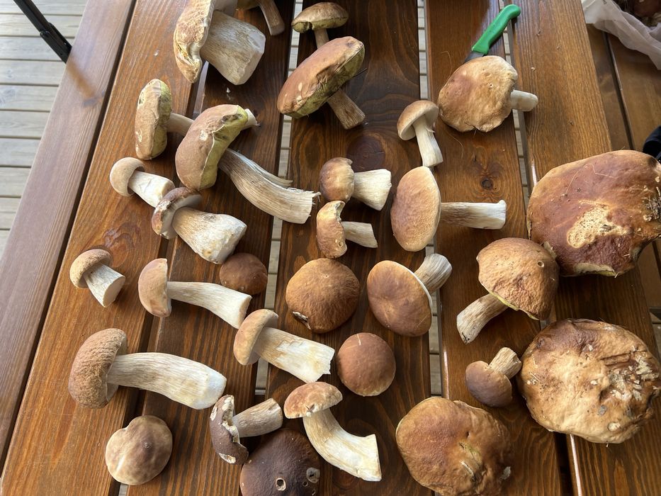 Domek z balią  jaccuzi,domek nad jeziorem, sauna, wolny Sylwester