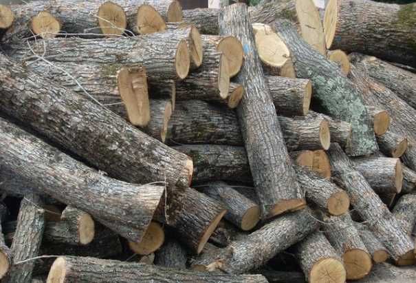 Распродажа дров твердые породы дуб граб с доставкой