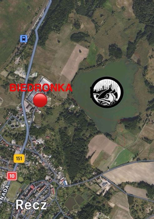 Karp karaś okoń płoć