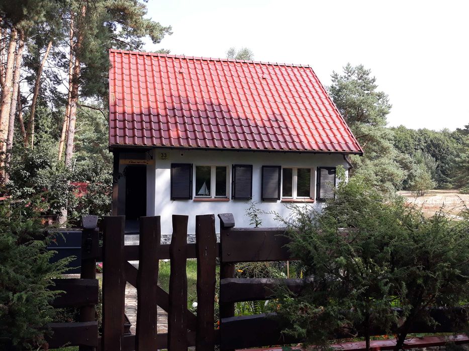 'Okna na las" wynajem mieszkań wakacyjnych