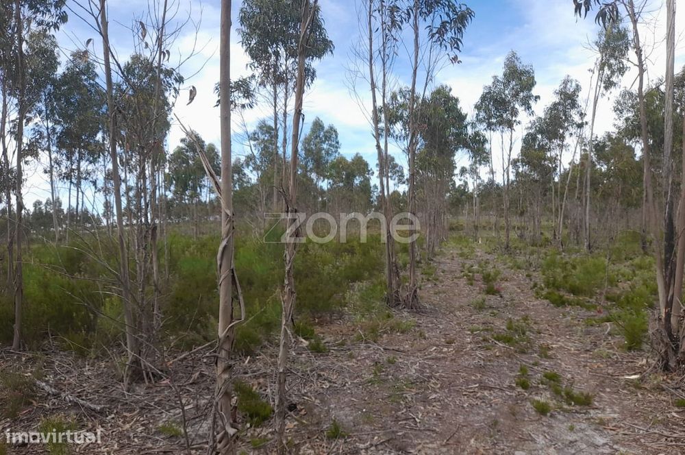 Terreno Rustico com 12580m2