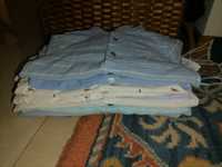 Lote de 12 camisas