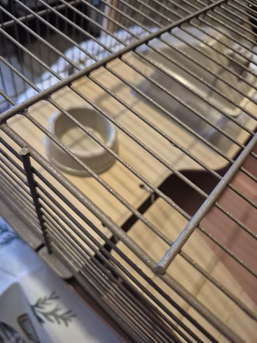 Klatka Rex różowo pastelowa