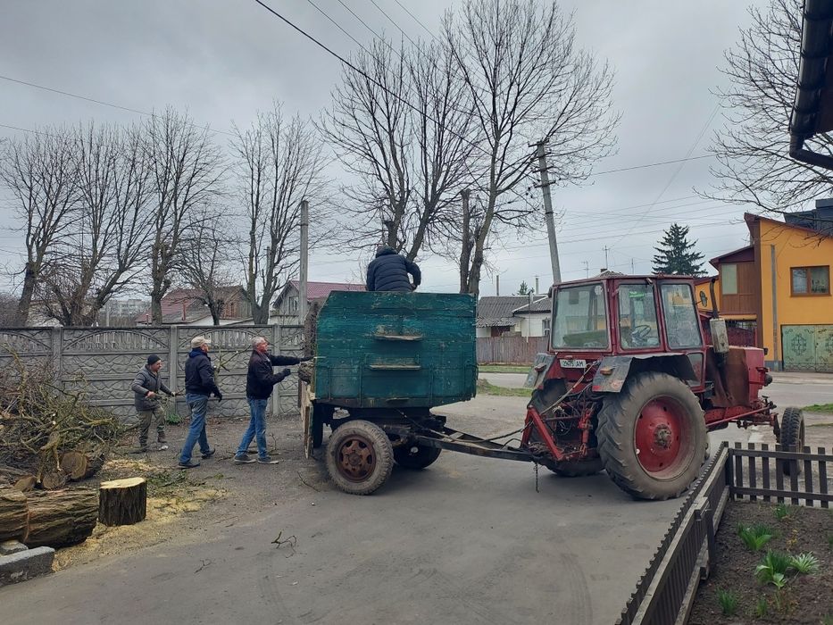 Порізка дерев і косіння трави