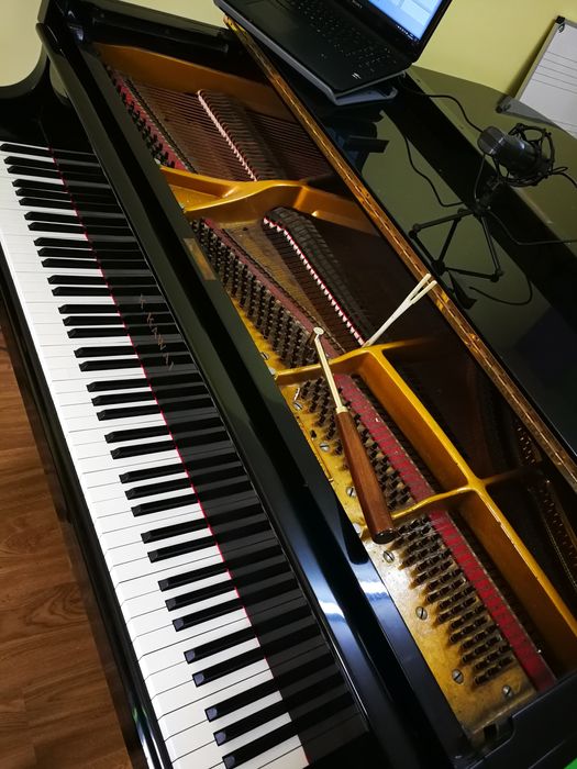 Fernando Leão Afinador de Pianos do Sul / Piano tuner in the Algarve