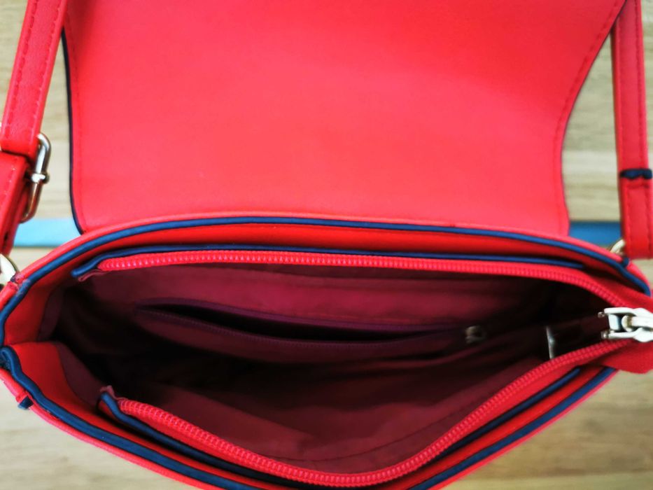 Listonoszka piękny żywy kolor