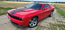Dodge Challenger Bezwypadkowy, doinwestowany.