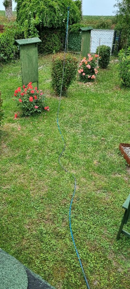 Koszenie trawy żnin i okolice